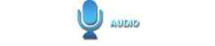 InSitu - Audio - Marketing Research App